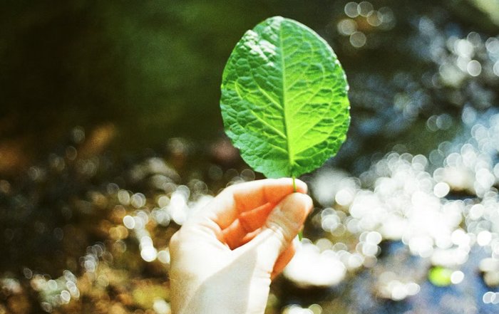 Article Image for A Guide to Sustainable Self Improvement