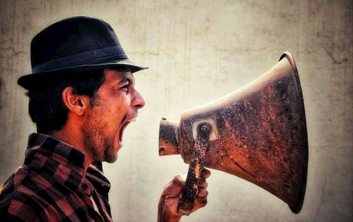 Article Image for Finding Your Leadership Voice in a Noisy World