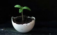 Article Image for How to Create a Lifestyle That Supports Long Term Growth