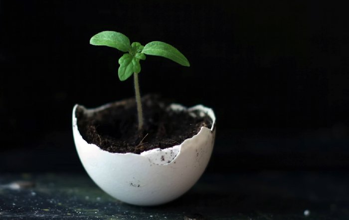 Article Image for How to Create a Lifestyle That Supports Long Term Growth