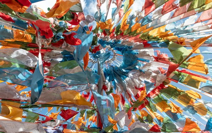 Article Image for Leadership Styles Inspired by Global Cultures