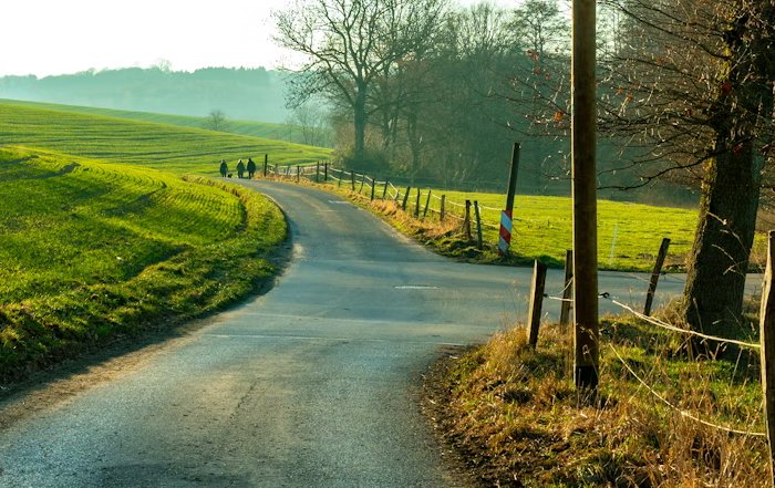 Article Image for Navigating Career Transitions With Grace