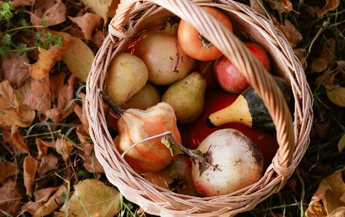 Article Image for Seasonal Eating: A Guide to Global Calendars
