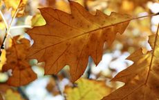 Article Image for Skincare for Changing Climates and Seasons