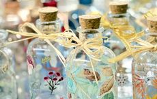 Article Image for The Alchemy of Scent and Memory